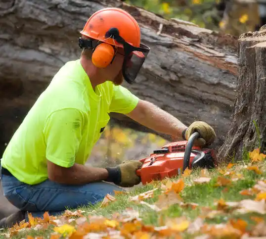 tree services Fort Drum